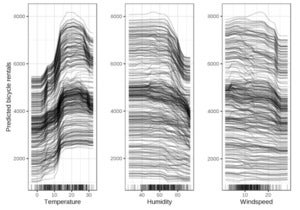 ice plots molnar