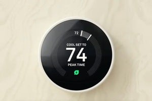 nest renew