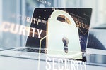 Cultivating a New Generation of Cyber Professionals