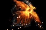 AMD: The phoenix of tech