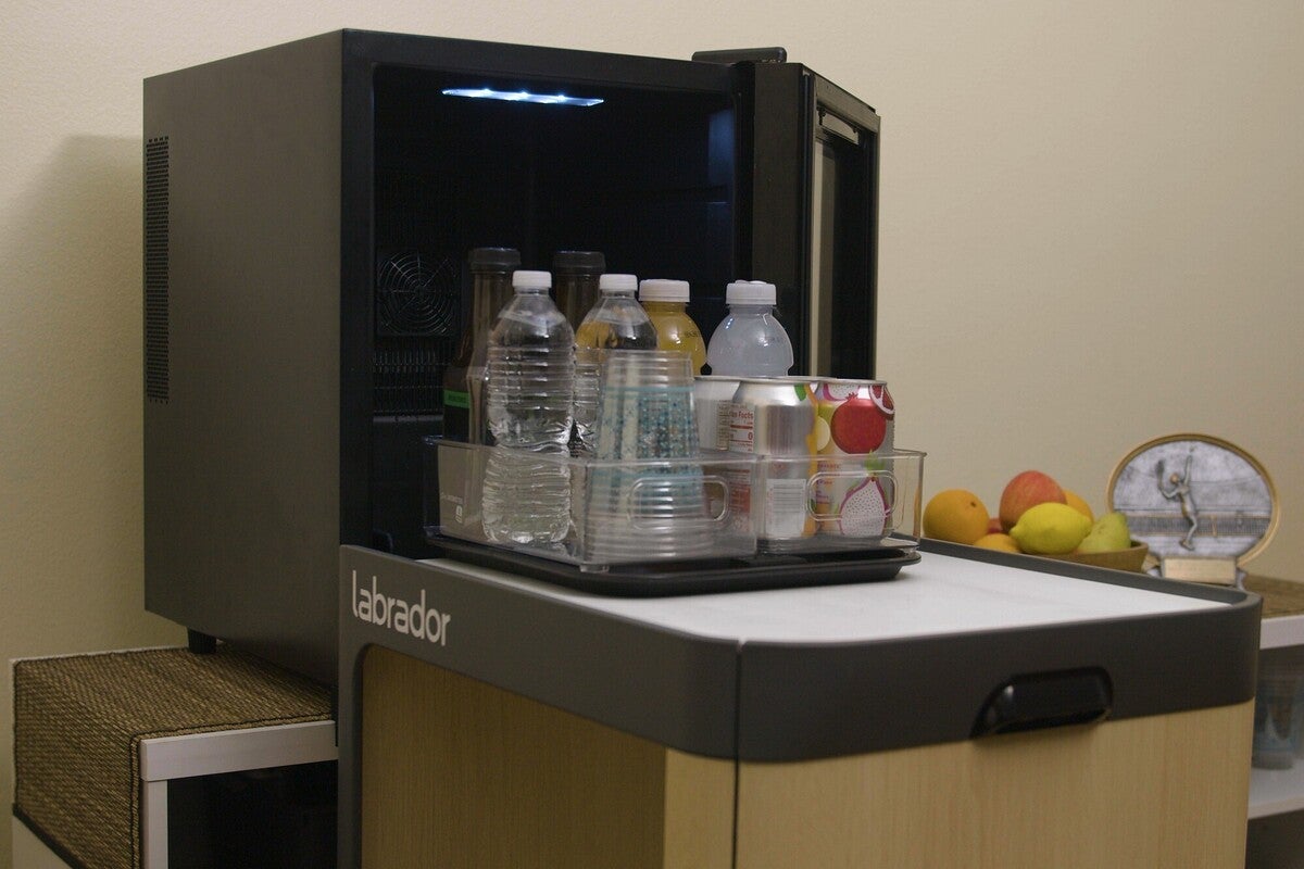 labrador drink retrieval from refrigerator