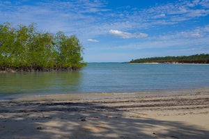How the NT government wired up remote Aboriginal communities