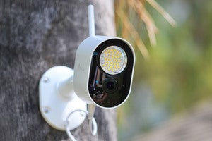 toucan security light camera tree