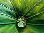 Why Apple worries about photography on the iPhone