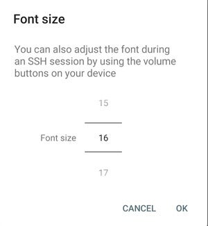 JuiceSSH image 3 font size