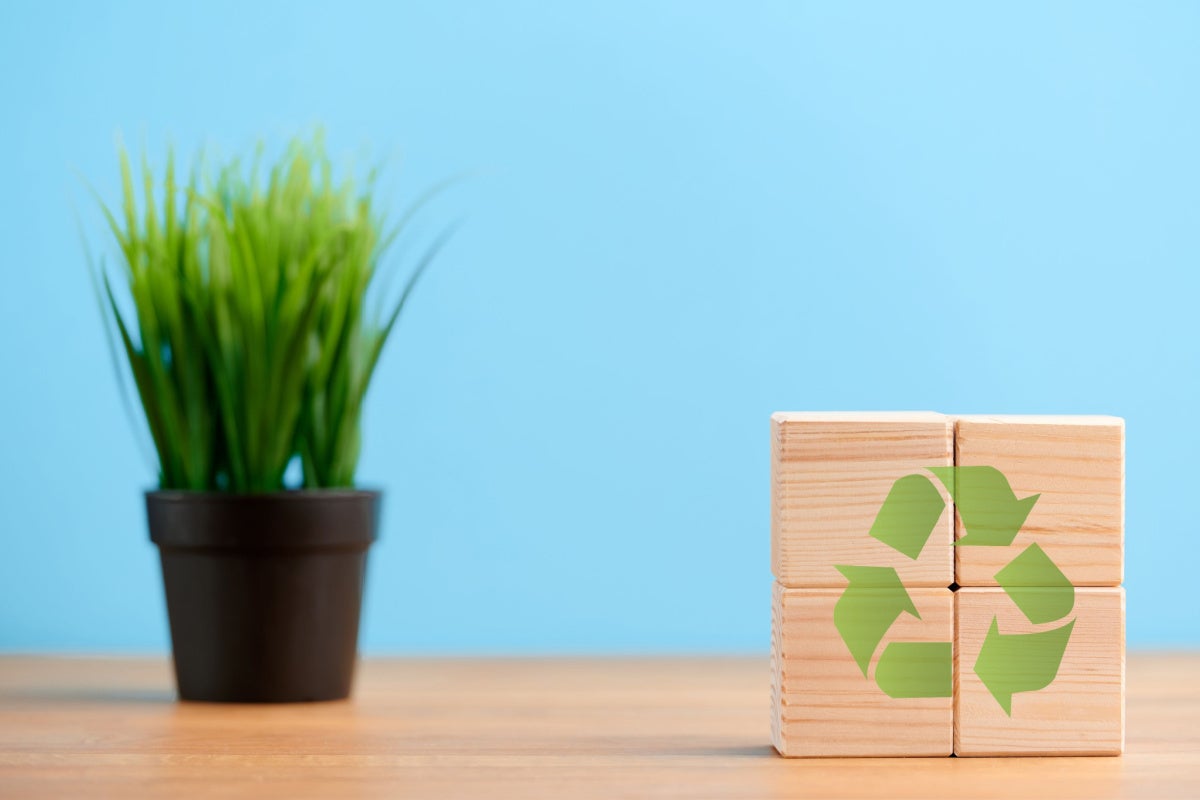 Wooden cubes; the symbols of circular economy and a potted plant in the background