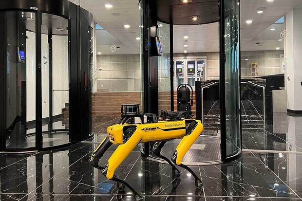 Image: Sponsored by Novva: Future-focused data center deploys robotic surveillance dog.