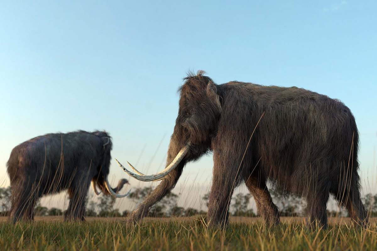 Image: Surviving a Mastodon stampede