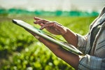 IT Leaders Have a Green Opportunity to Support Sustainability