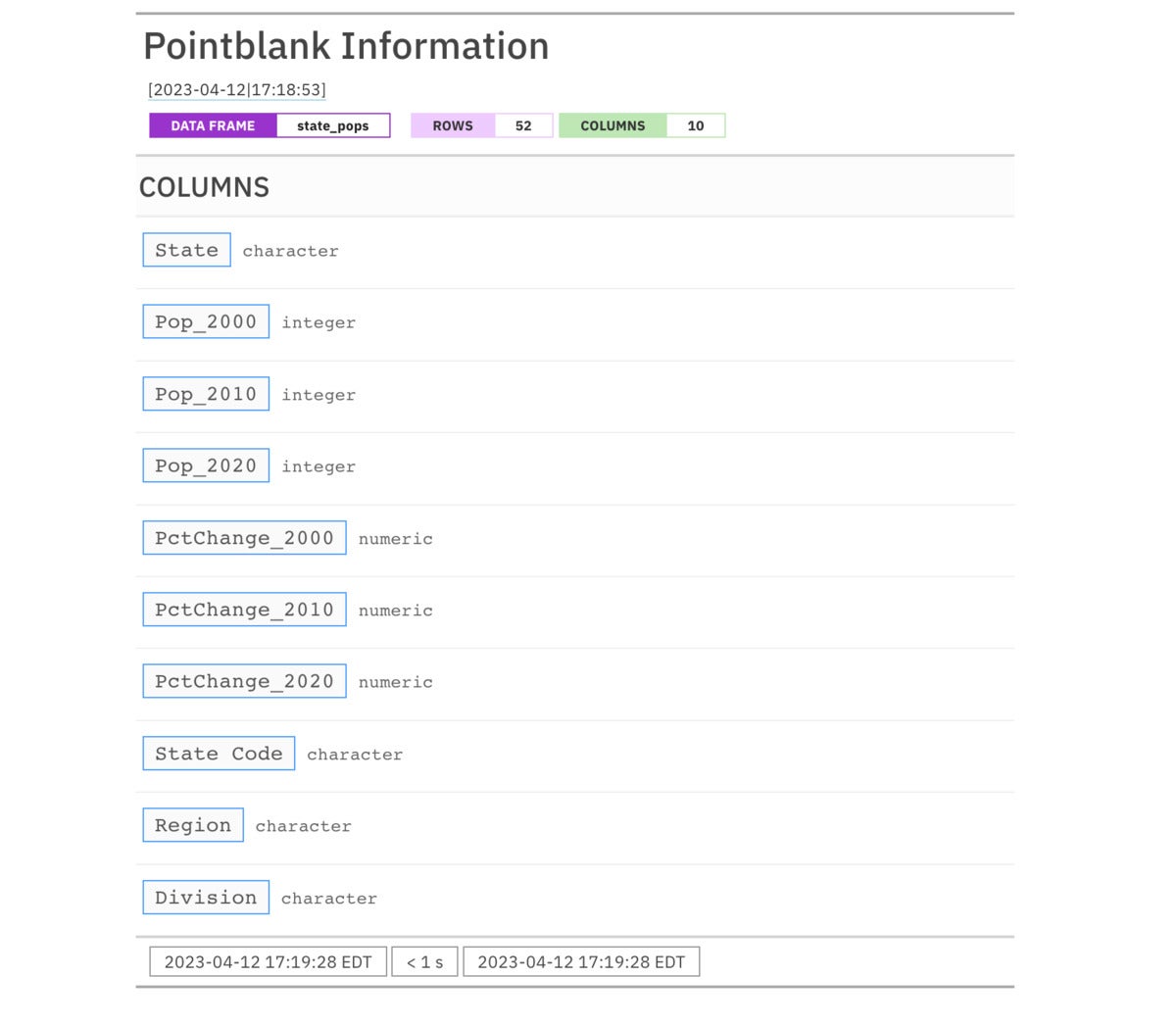 Pointblank Information report showing name of each column and its data type
