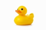 shutterstock 2288028173 yellow rubber duck on white background
