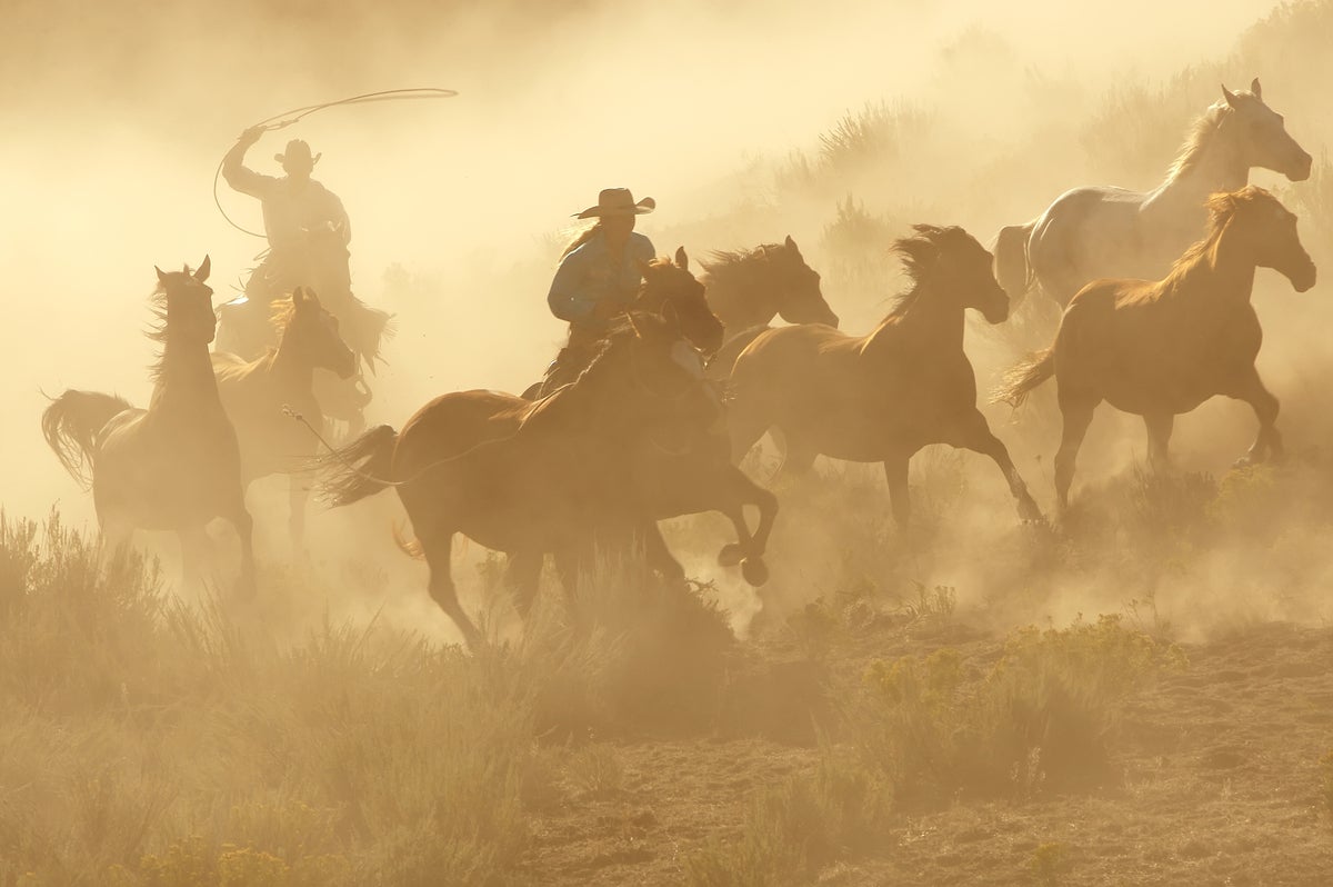 shutterstock 17221348 Wild West two cowboys galloping dusty desert roping horses