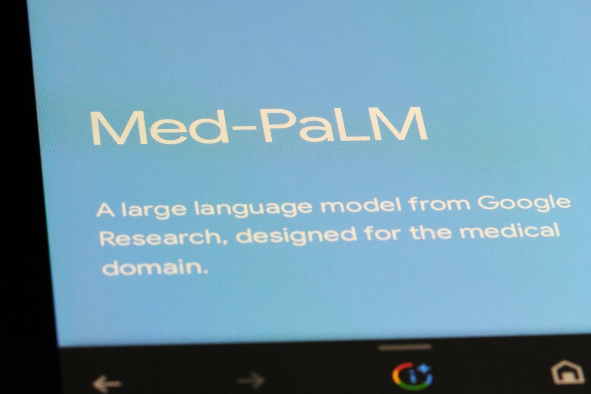 shutterstock med palm image