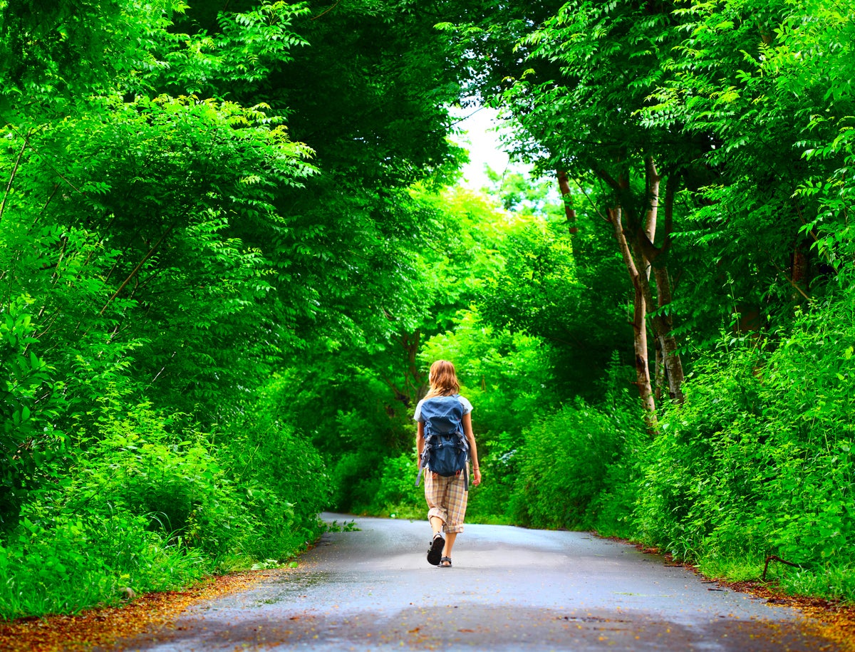 shutterstock 81409285 young woman walking hiking road in lush green forest