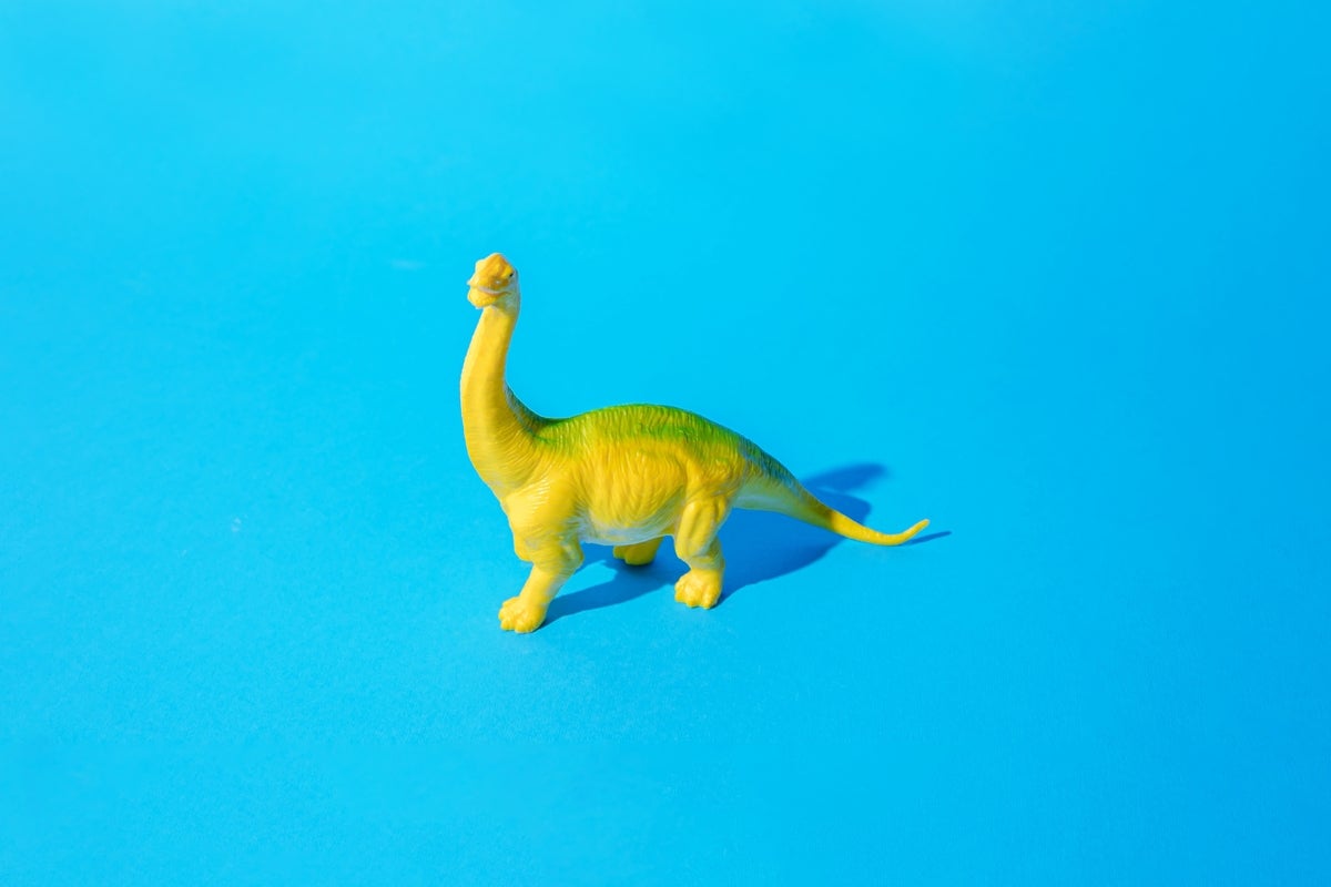 shutterstock 2214728639 yellow green plastic toy Brachiosaurus dinosaur on a blue background