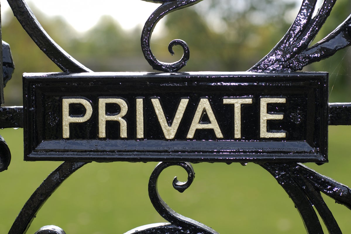 Image: Choosing between public and private LLMs