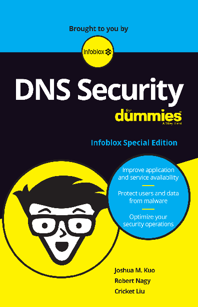 Dns Security For D!   ummies Network World - the internet is the target of attacks by unethical people these people might just want to cause mischief or they might want to extort you for large