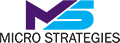 Micro Strategies Inc.