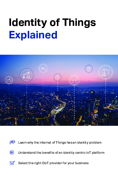 The Identity of Things Explained