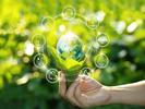 How UK CIOs are improving sustainability within their IT environments