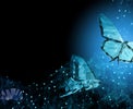 The changing name and face of enterprise IT