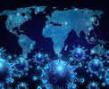 New report: Lockdown and the IT department