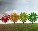 AI, cloud, 5G and the future of work? Top tips for post-pandemic business recovery