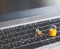 Why SMEs are at a higher risk to cyber crime
