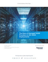 The Role of Managed WAN Providers in SD-WAN Deployments