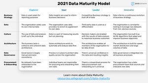 2021 Data Maturity Model