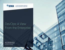 DevOps: A View From the Enterprise