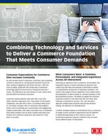 Combining Technology and Services to Deliver a Commerce Foundation that Meets Consumer Demands