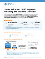 Leveraging Lumen Voice and UC&C—A Move Towards Productivity