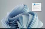 Windows 11 adoption nears 9%, but businesses are waiting