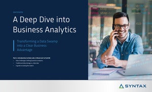 A Deep Dive into Business Analytics