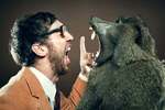 man yelling at baboon attack fight face to face argue