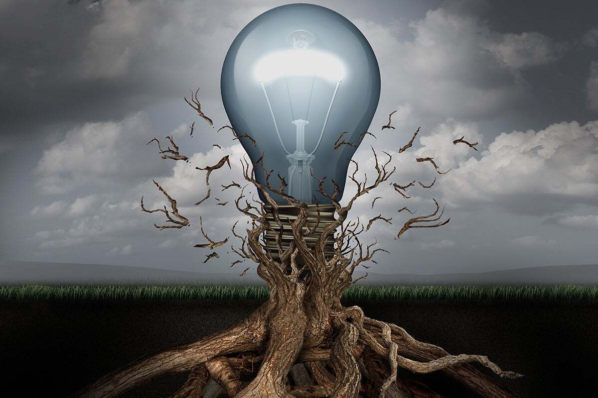 lightbulb tree - new ideas - emerging technology - innovation - transformation