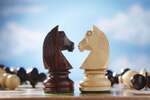 2 chess pieces facing off