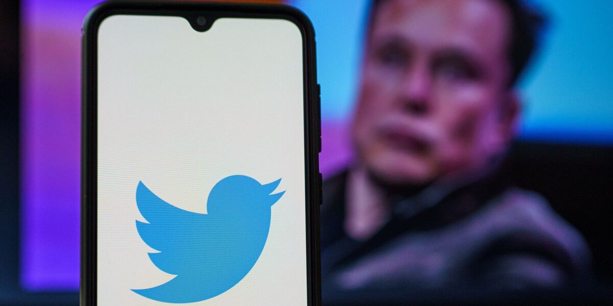 Musk: Twitter könnte kostenpflichtig werden - für diese Nutzergruppen
