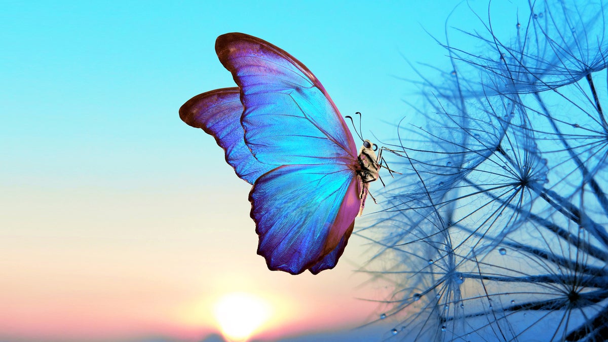 Image: Googleâs Dart 3 and Flutter 3.10 bring big changes